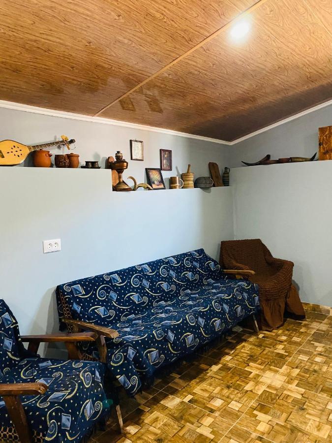 Mamuka'S Guesthouse Udabno Esterno foto